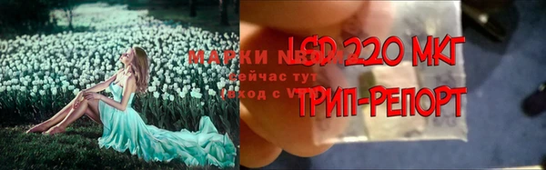тгк Алексин