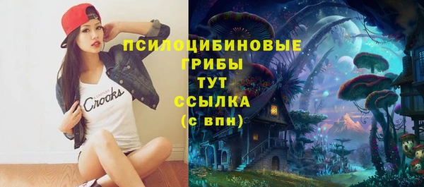 крисы Протвино