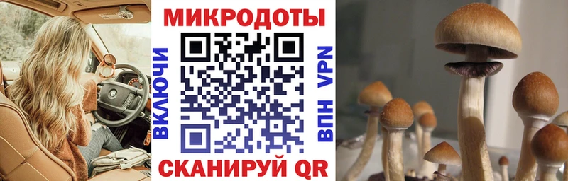 Псилоцибиновые грибы Psilocybe  MEGA как войти  сайты даркнета формула  Кизел 